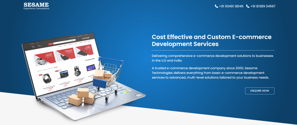 Best ecommerce development company in India