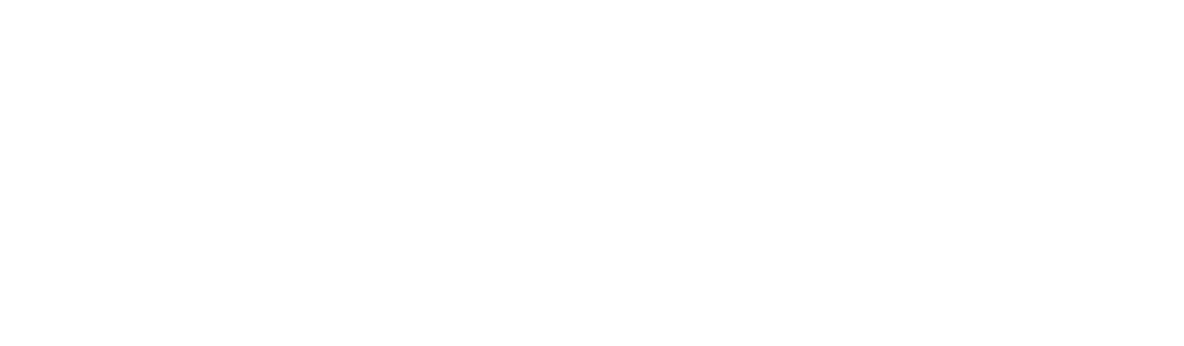 Ecommerce development services